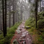 Domek alpejski Cicha Struga Chocieszow
