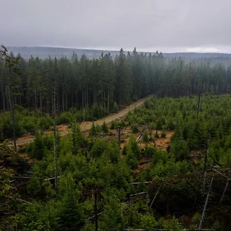 Cicha Struga Chocieszow