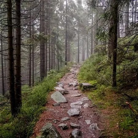 Chalé Cicha Struga Chocieszow
