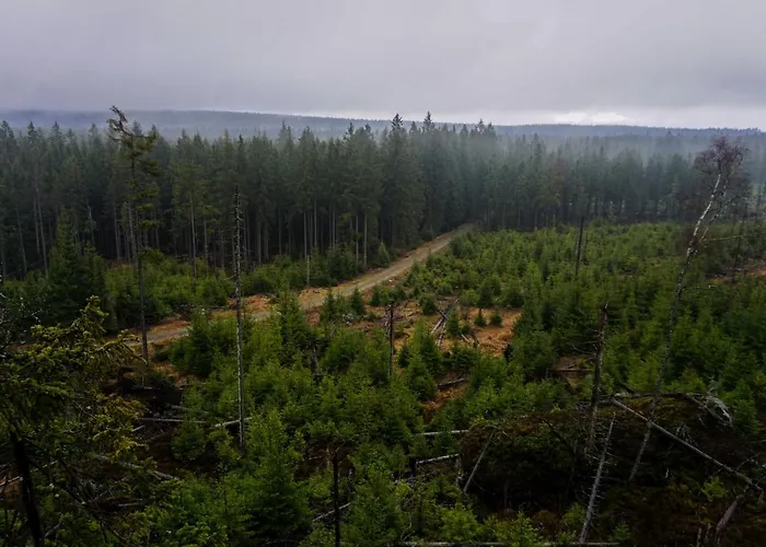 Cicha Struga Chocieszow