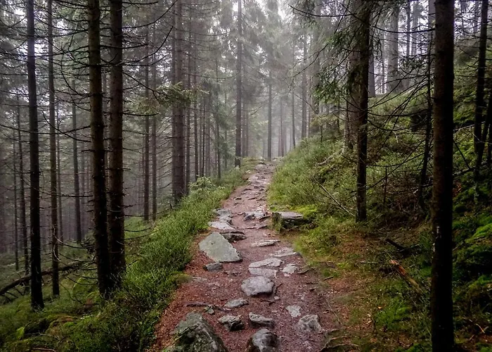 Domek alpejski Cicha Struga Chocieszow