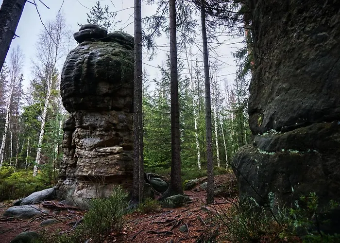 Domek alpejski Cicha Struga Chocieszow